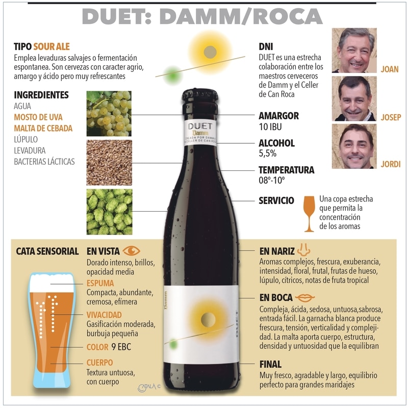 Infografía analizando cerveza Duet Damm y Hermanos Roca
